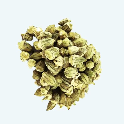Anthap Dried Okra (Kuru Bamya) 100g